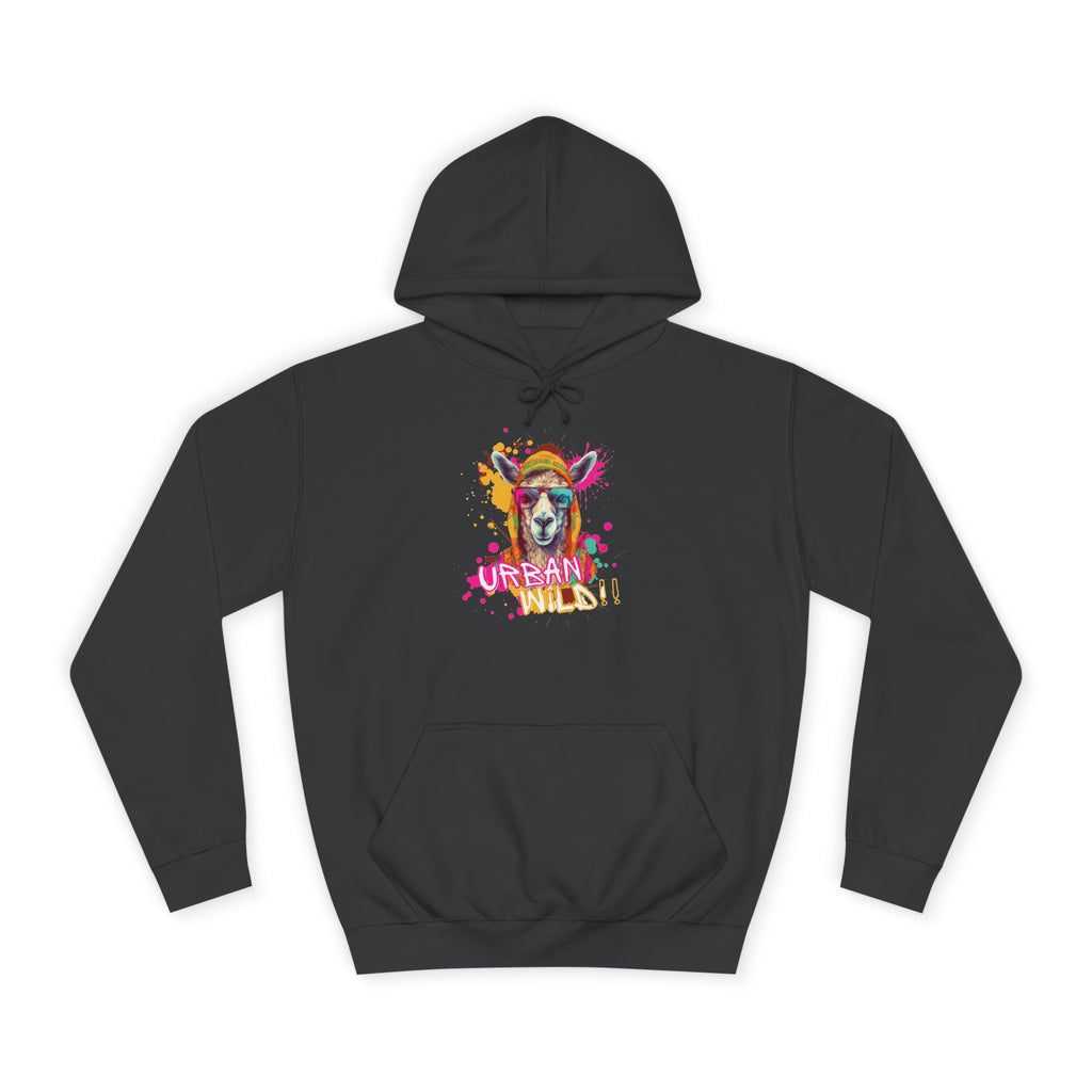 College Hoodie - Colorful Llama 'Dream On' Graphic Pullover