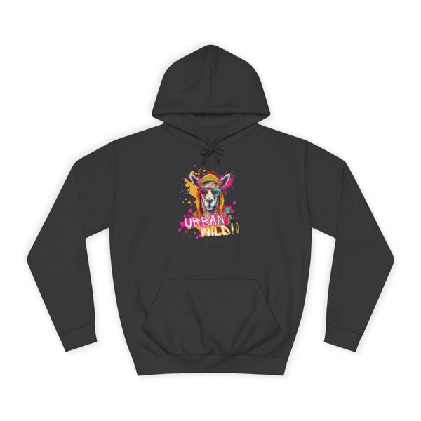 College Hoodie - Colorful Llama 'Dream On' Graphic Pullover