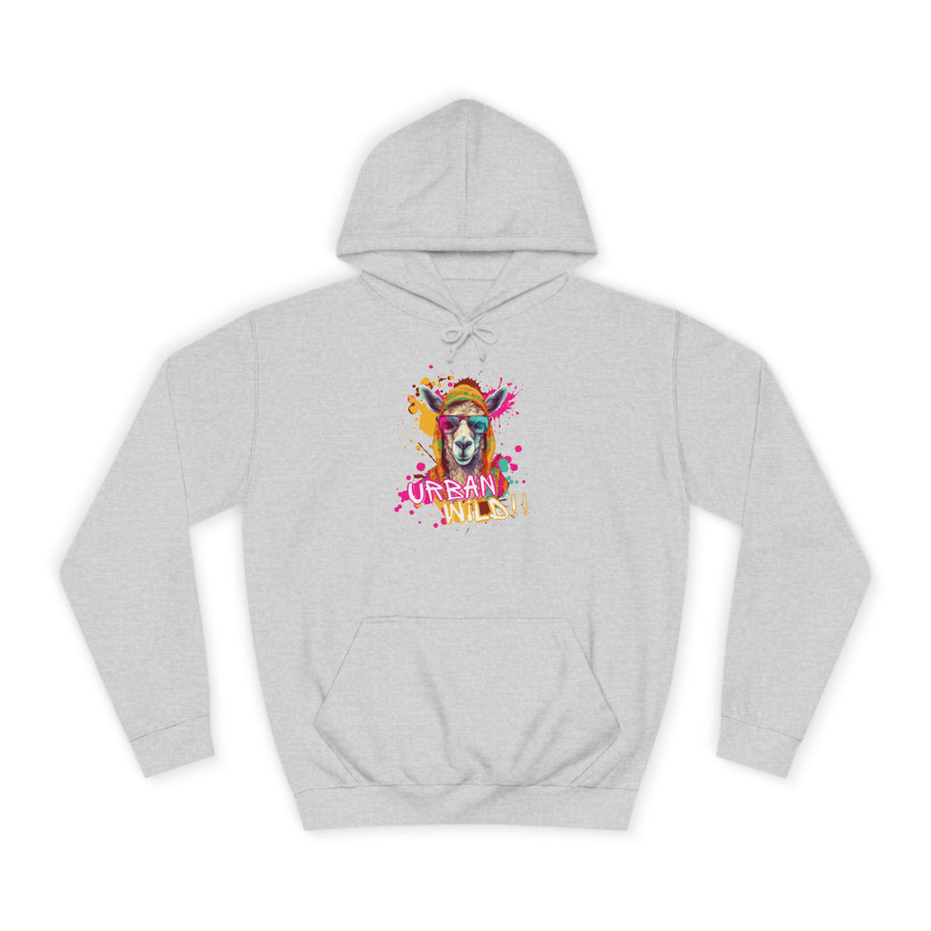 College Hoodie - Colorful Llama 'Dream On' Graphic Pullover