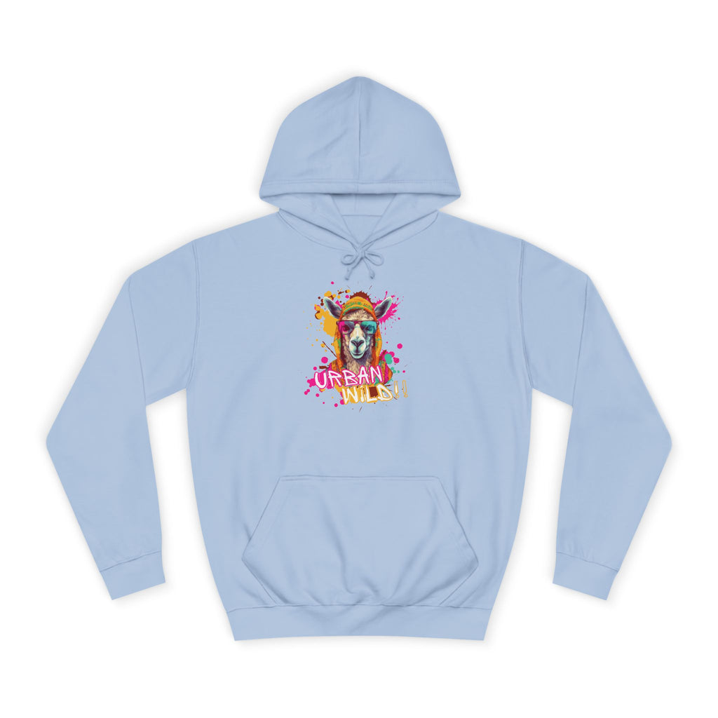 College Hoodie - Colorful Llama 'Dream On' Graphic Pullover