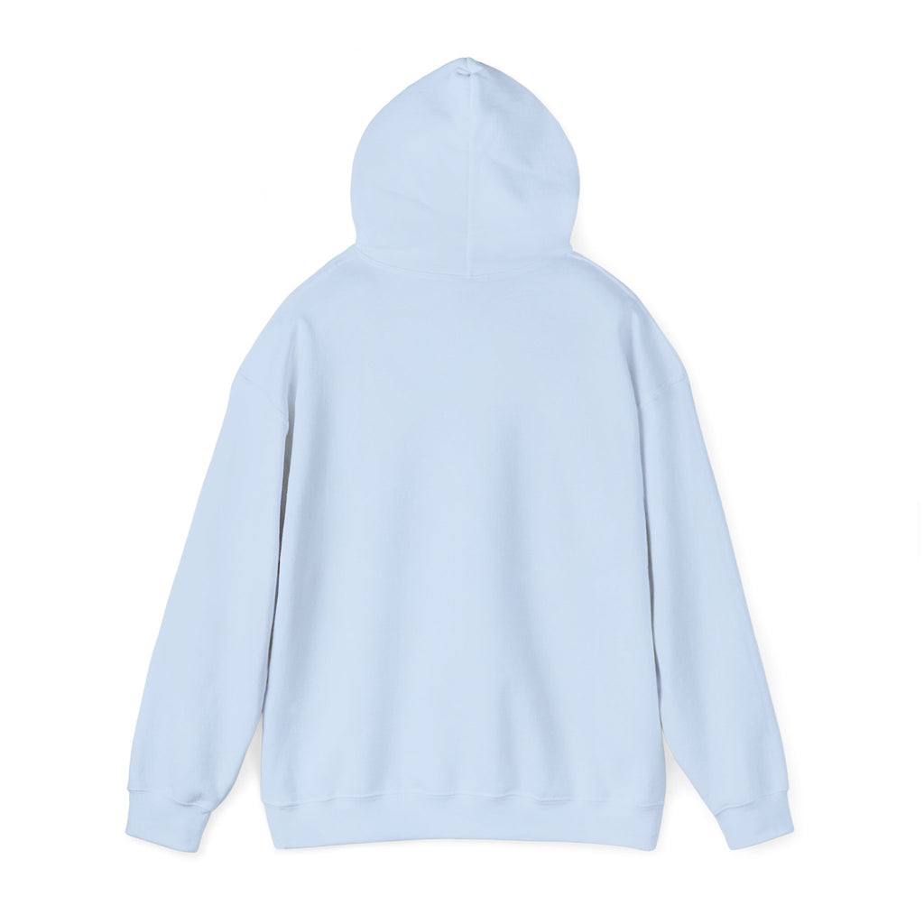 Drum & Sticks Vintage Graphic Hoodie