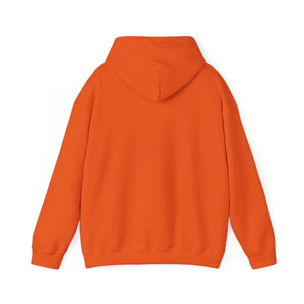 Drum & Sticks Vintage Graphic Hoodie