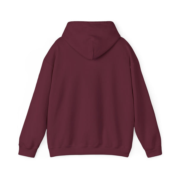Drum & Sticks Vintage Graphic Hoodie