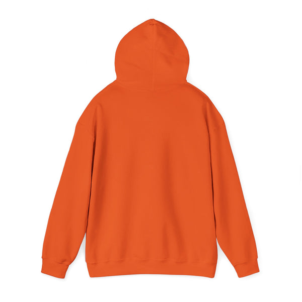 Drum & Sticks Vintage Graphic Hoodie