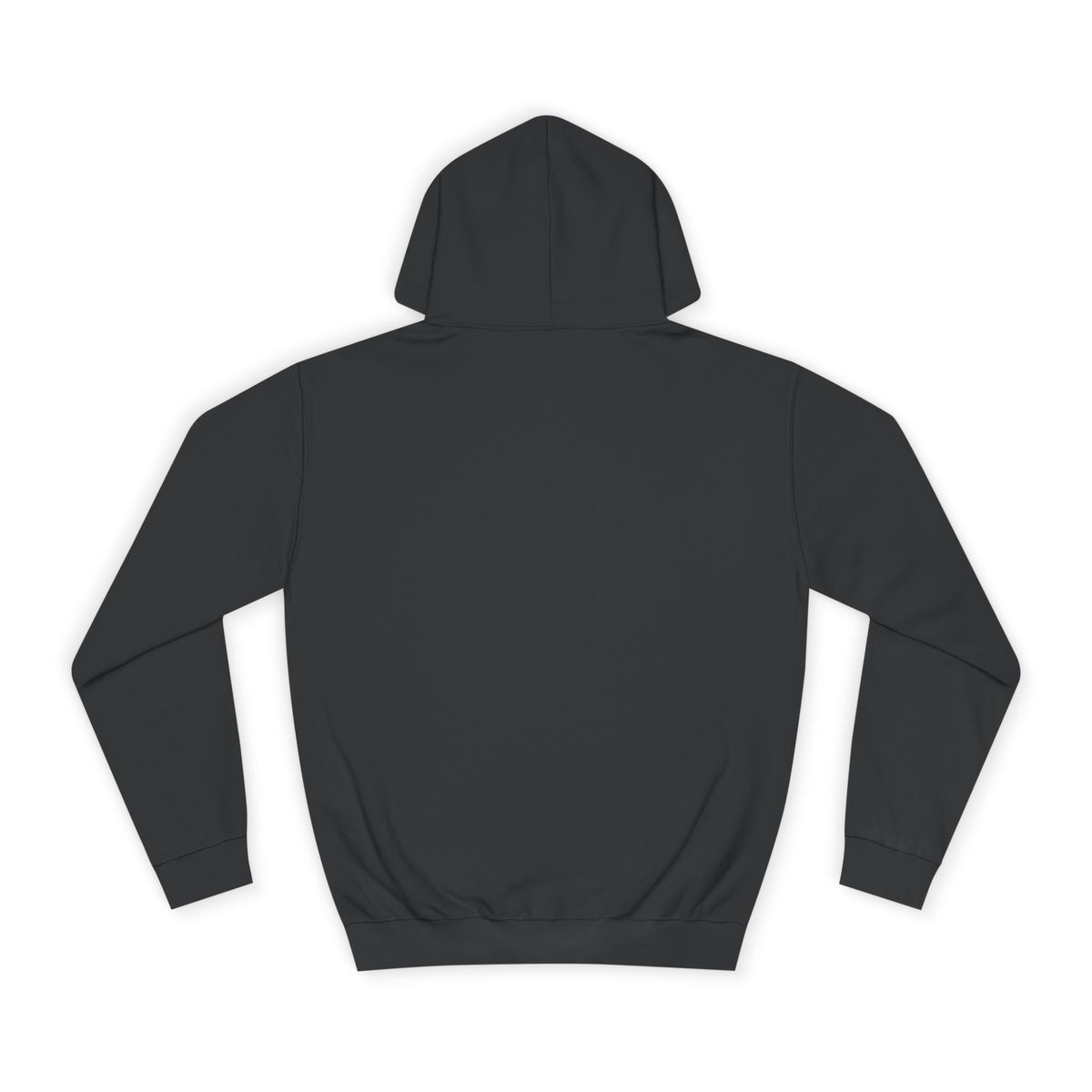 College Hoodie - Colorful Llama 'Dream On' Graphic Pullover
